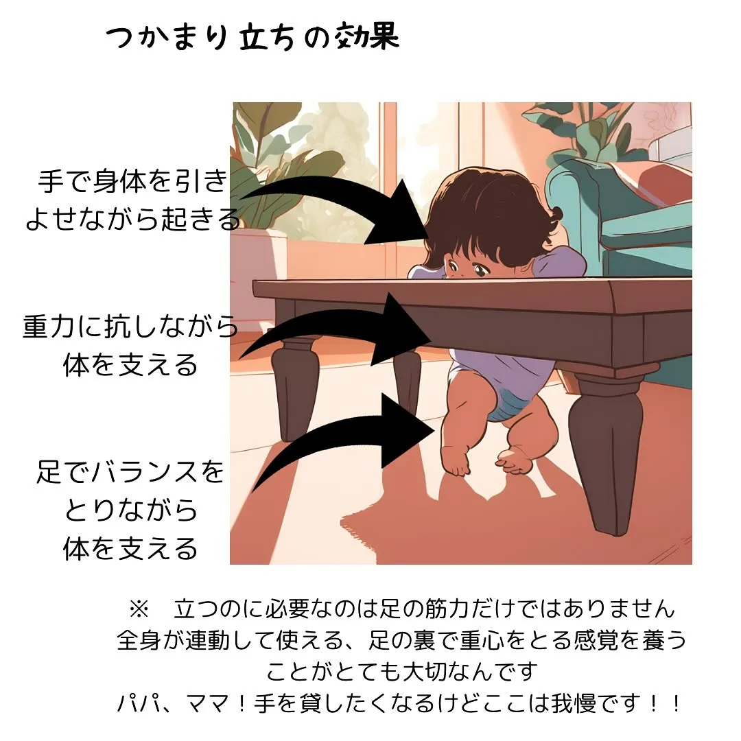 どんどん行動範囲が増えていくと可愛い反面ハラハラしますね…