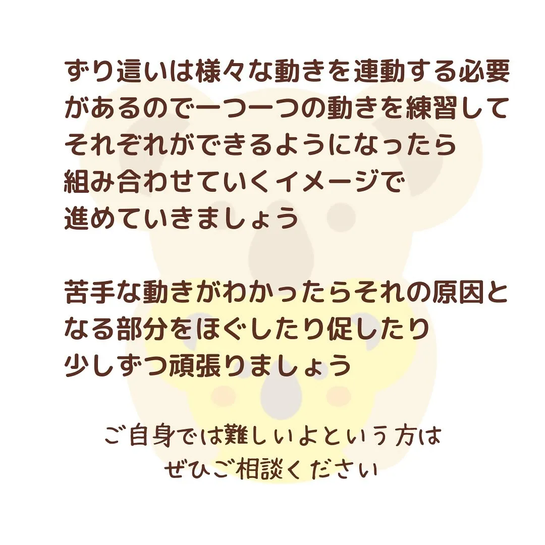 ずり這い…最近はしないではいはいや座ったり立ったりしてしまう...